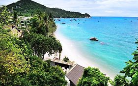 บีช คลับ เกาะเต่า